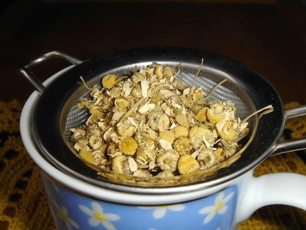 floral-patterned teacup with a metal strainer placed on top filled with dry chamomile flowers