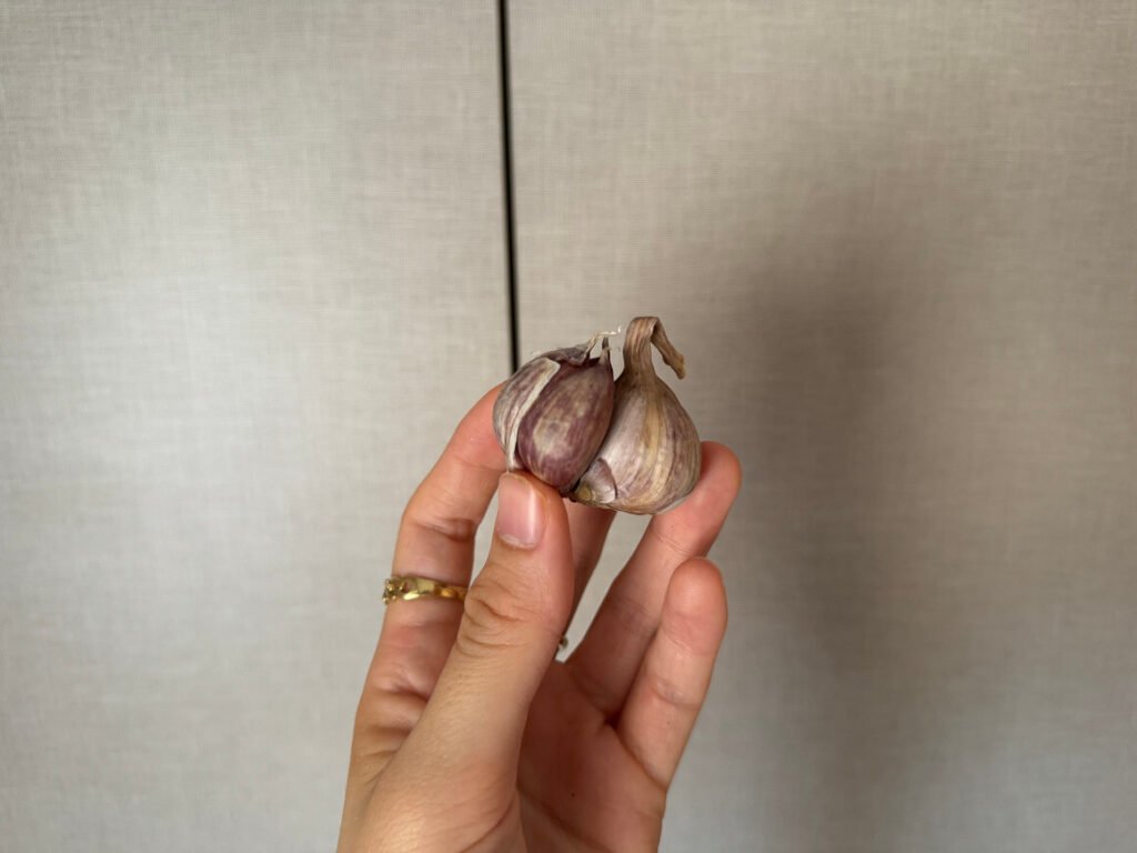 girl holding a head of garlic